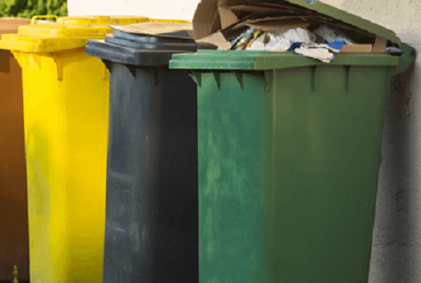 How to Keep Maggots out of Trash Can with 5 Reliable Methods